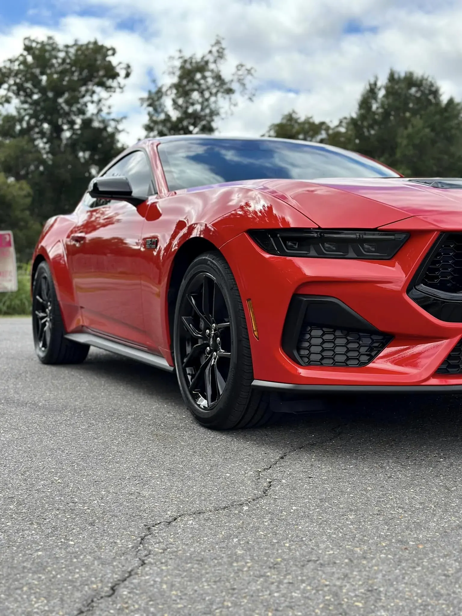 Automotive detailing and paint care